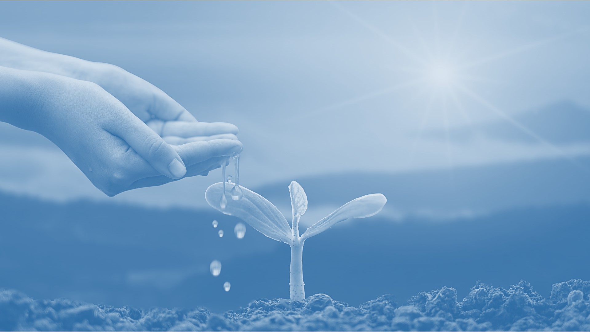 Small Business and Small Business Act