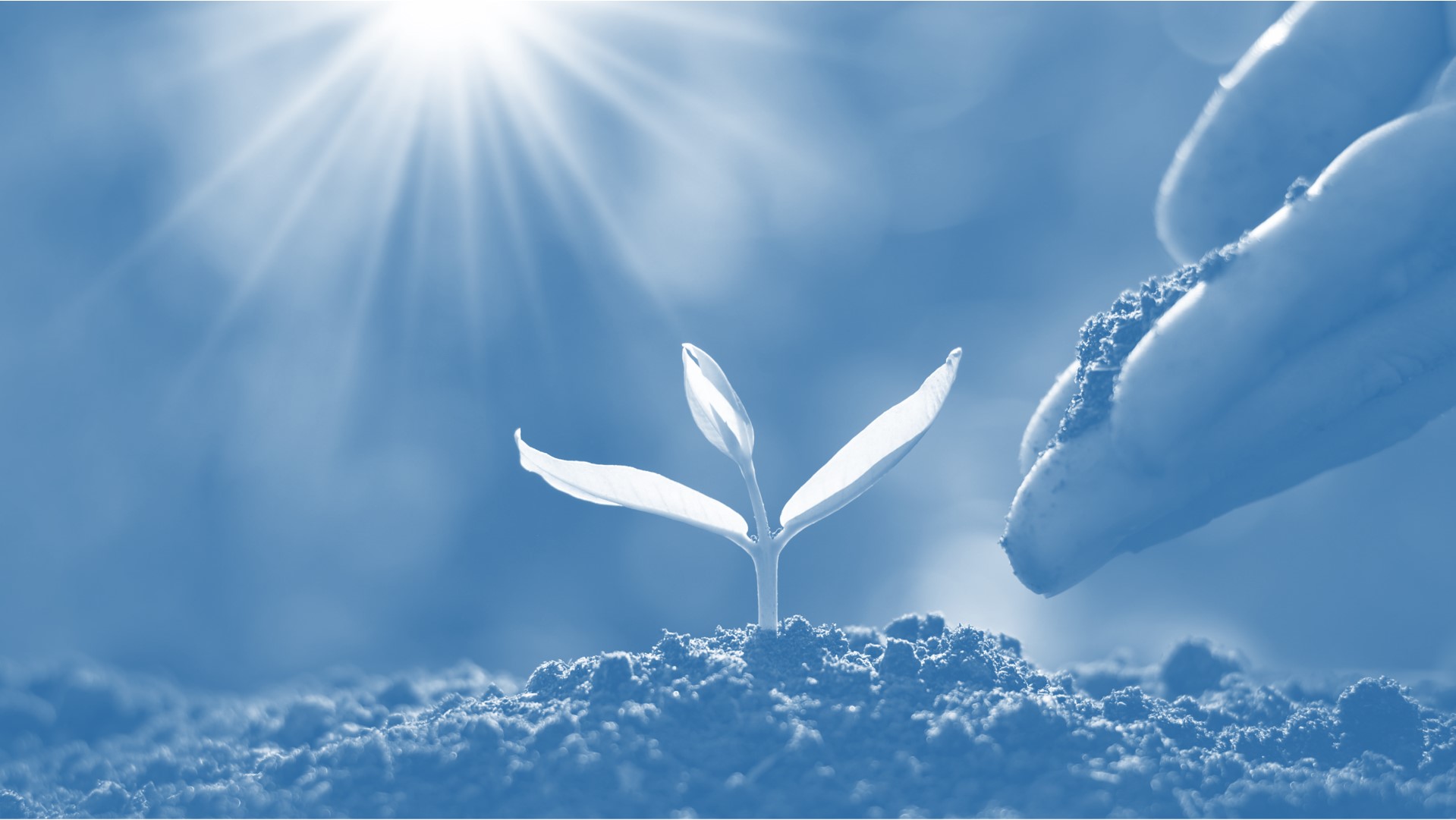 Περί πανδημίας, μισθωμάτων, αξιογράφων και ενισχύσεων ο λόγος…