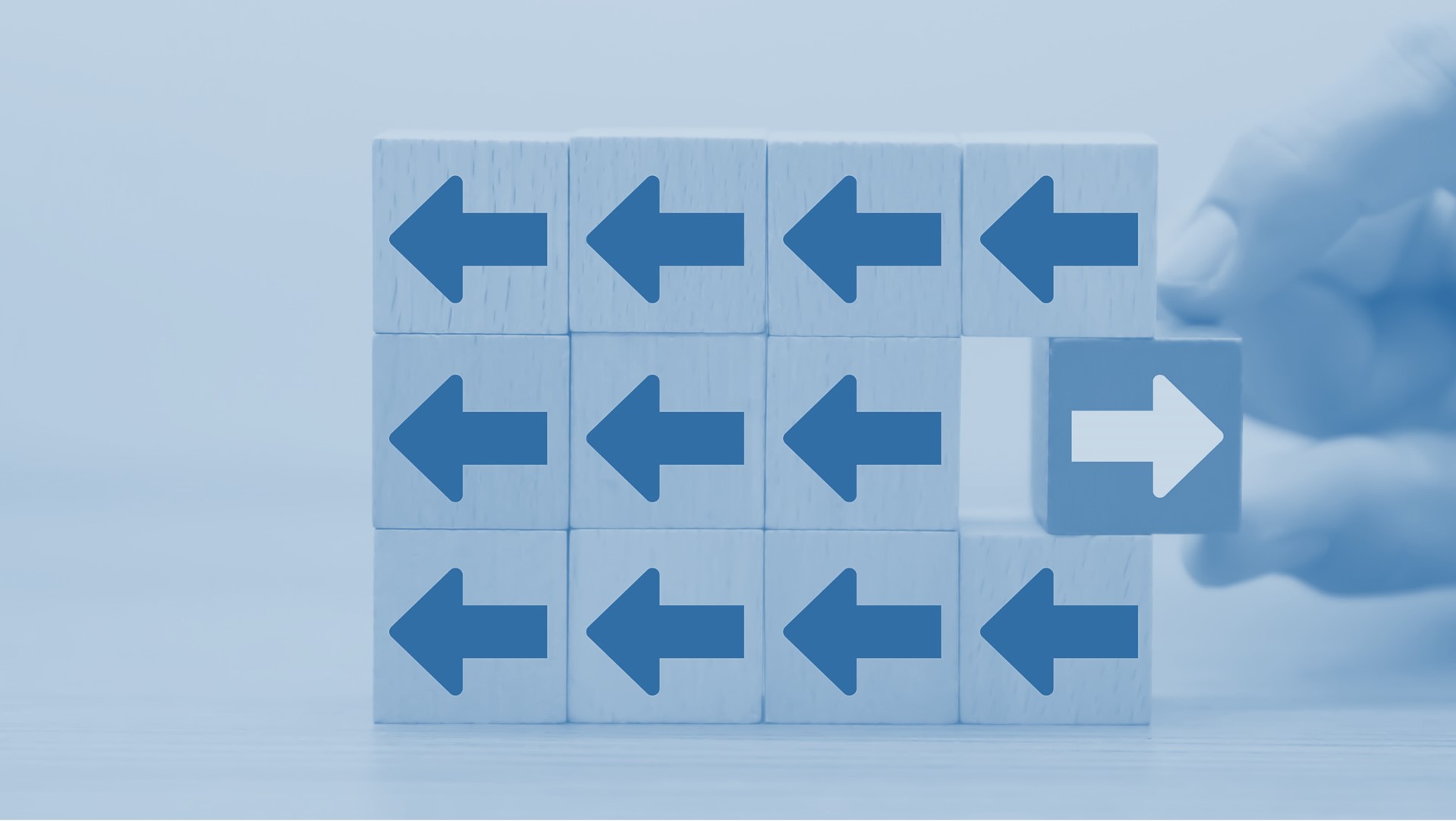 BoD vs SA: The obligation to omit competition