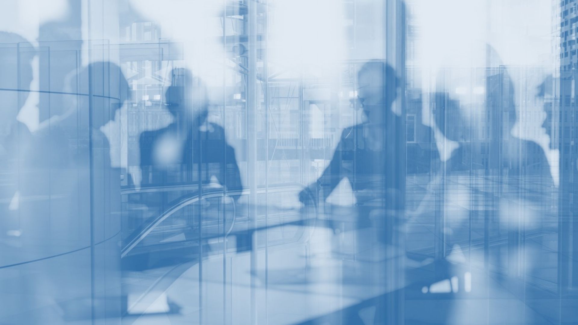 Internal Audit and Executive Committee of the SA