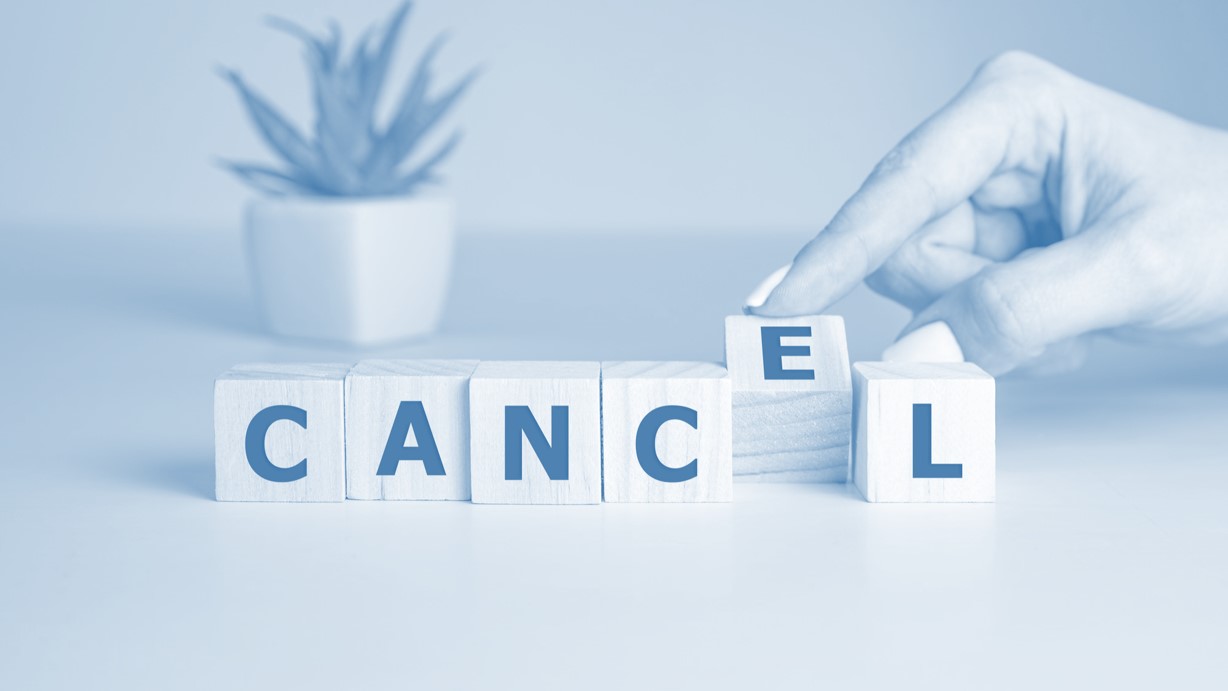 Conditions for Invoking the Invalidity of the Decisions of the BoD