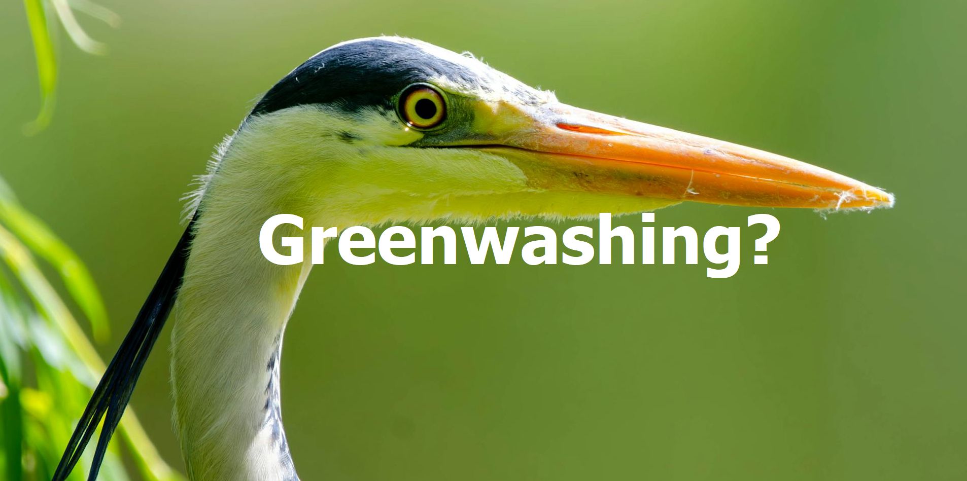 Τι είναι το Greenwashing?