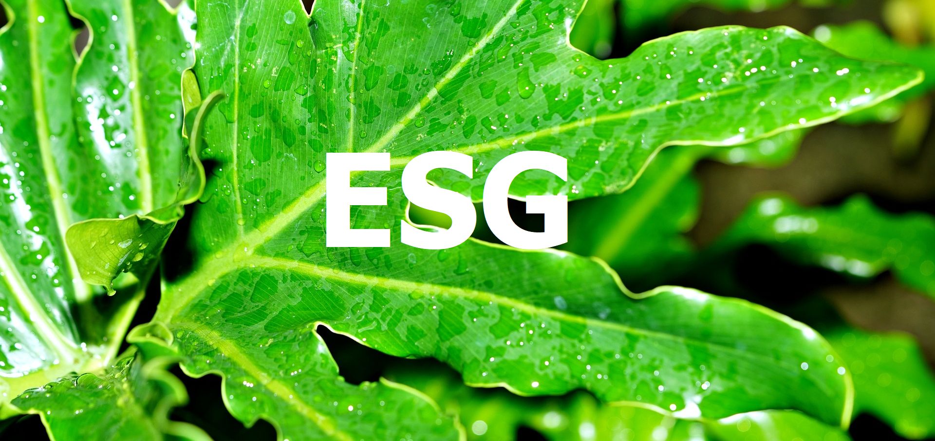 ESG & (έμπρακτα) οφέλη για τις Επιχειρήσεις